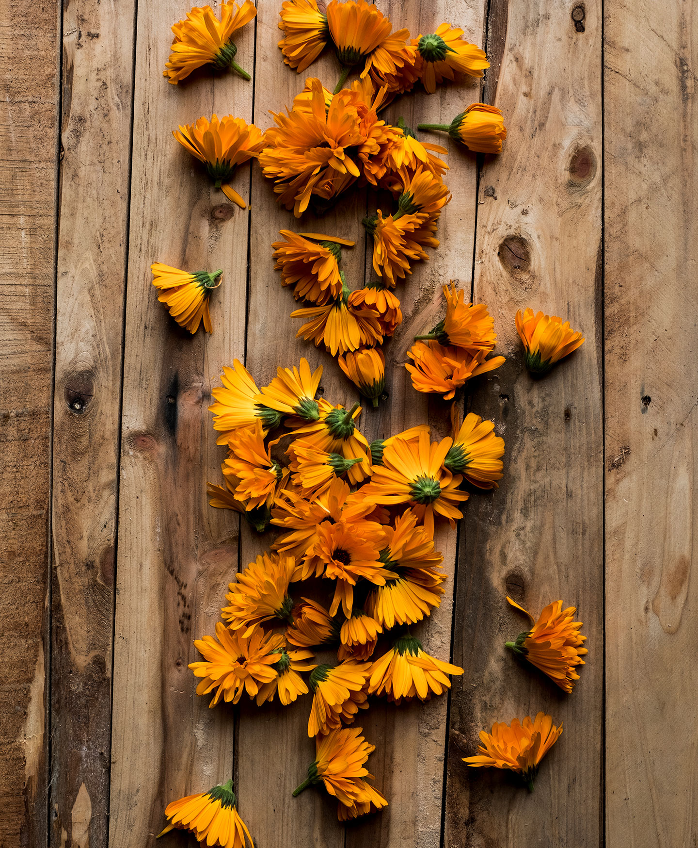 Sundara Calendula Salve for Dry Irritated Or Sensitive Skin